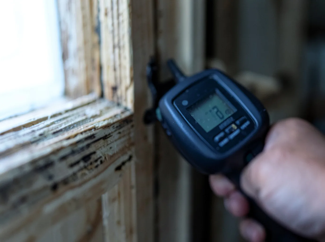 Moisture Inspection And Documentation in Sparta, KY